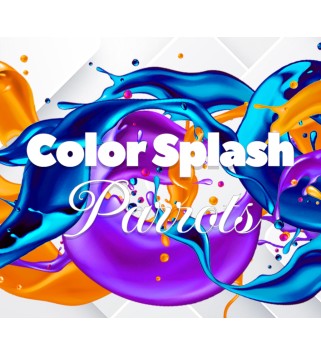 Color Splash: Parrots Steam Key GLOBAL